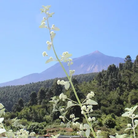 Casa El Lance 度假居 *